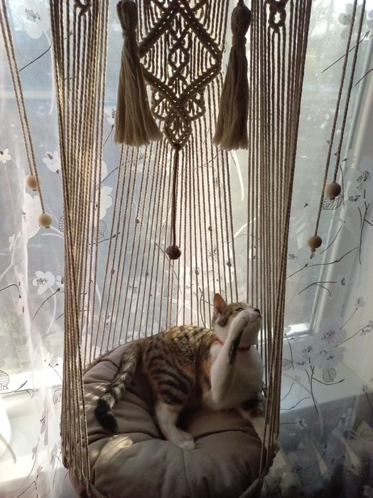 Лежак Гамак для котика