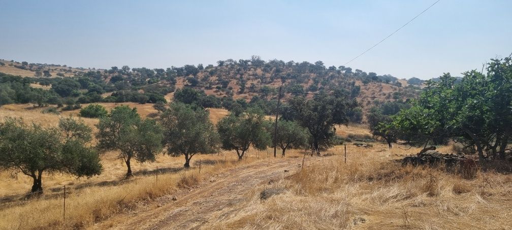 Monte na Serra de Serpa