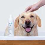 Promocja Vet Expert Hypoallergenic szampon dla psa 250 ml