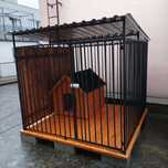 Kojec klatka zagroda box dla psa 3x2m