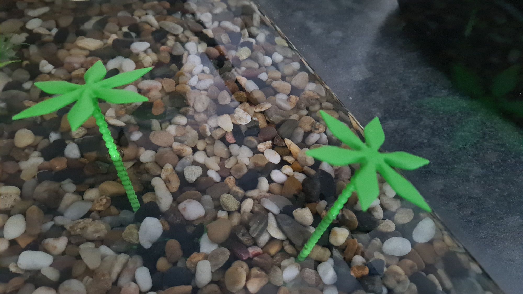 Aquário para tartarugas Tortum 55