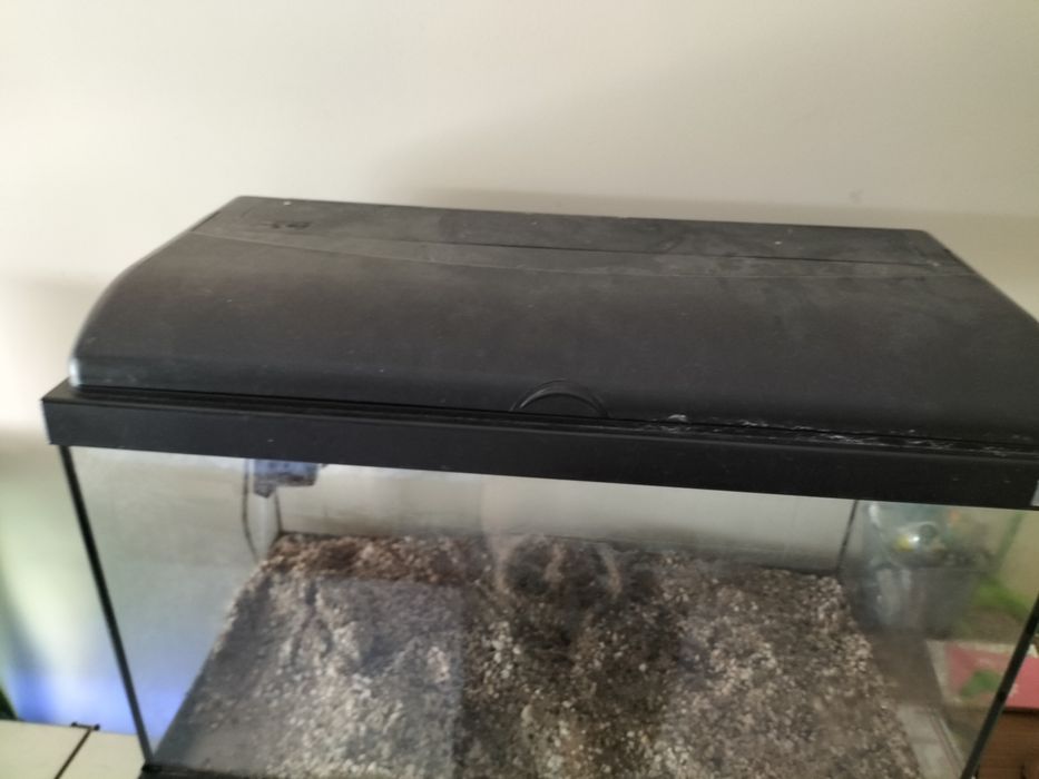 Aquário aquatlantis