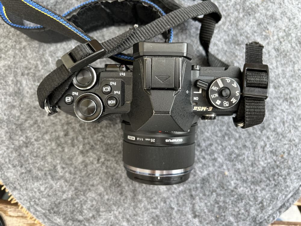 Olympus omd em5 mkII