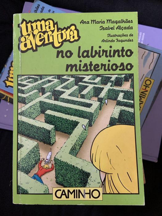 Livro “Uma aventura no labirinto misterioso”