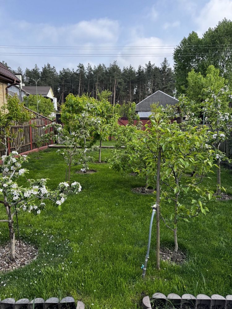 Дом продаж Дахнівка вул.Кириченко, Мошногірська