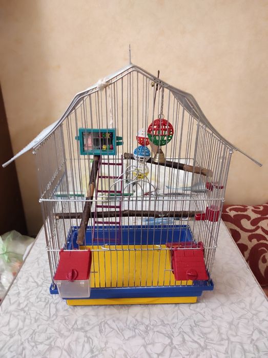 Клітка для птахів з аксесуарами