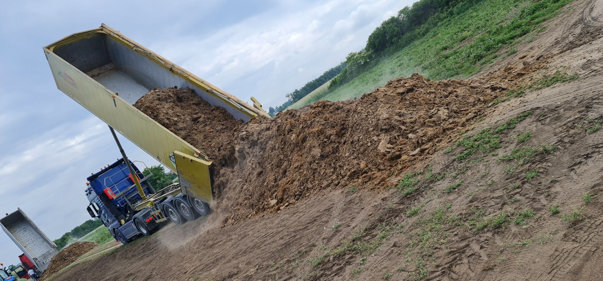 Obornik kurzak słomiasty, bobek, bydlęcy, koński, Wapno nawozowe