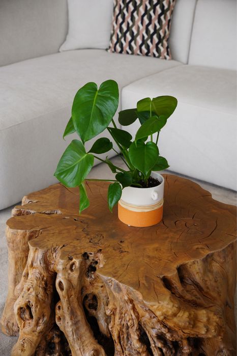 Mesa de centro de madeira