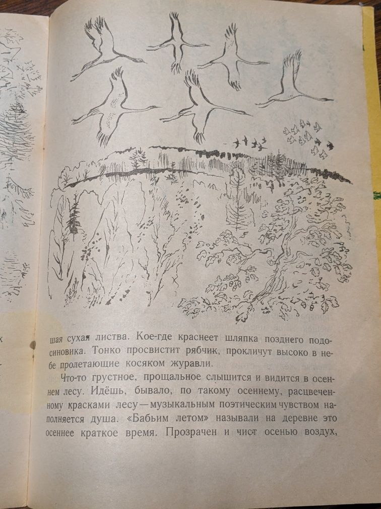 Книжка-картинка И.Соколов-Никитов