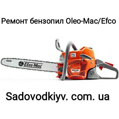 Ремонт бензопил Олео-Мак/Ефко(Oleo-Mac/Efco )