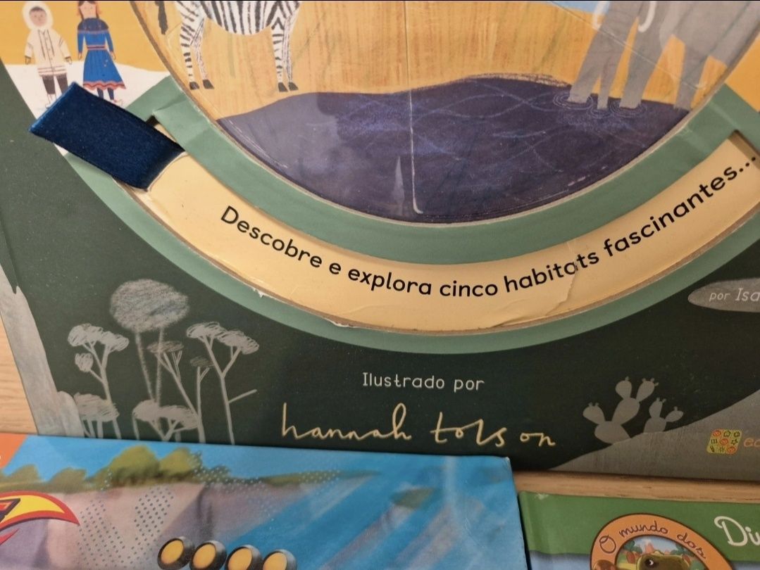 Conjunto de livros para menino