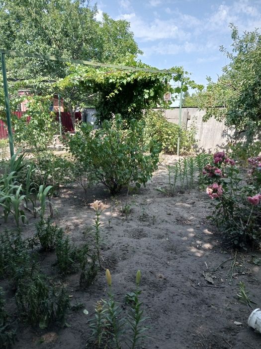 Будинок в селі Ковалівка