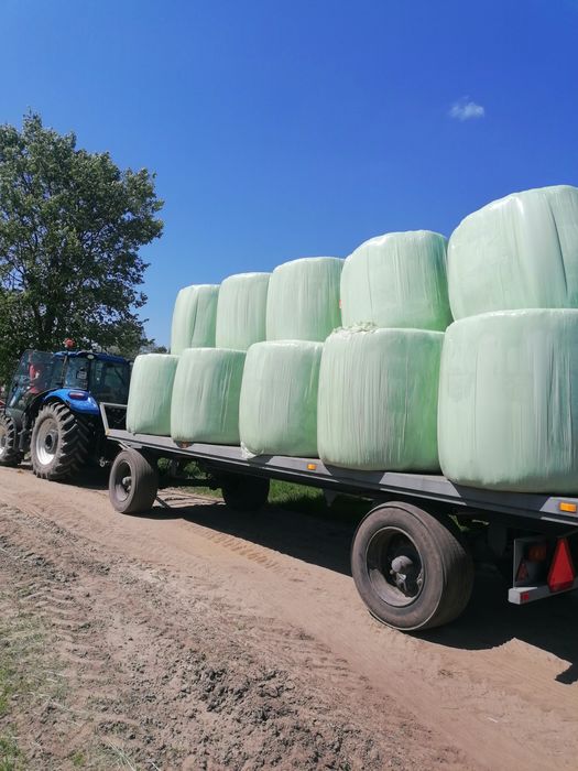 Bele sianokiszonka TRANSPORT