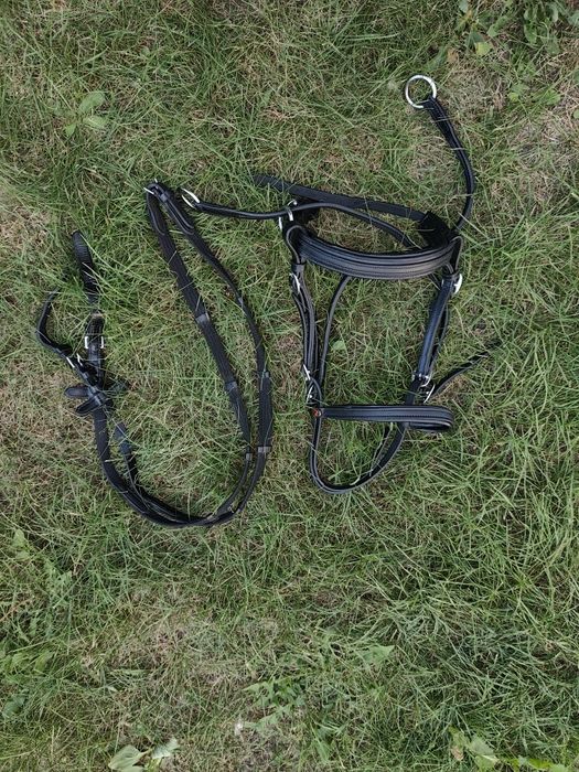 Ogłowie bezwedzidłowe horze Shetty