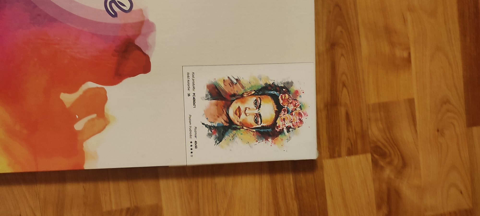 Malowanie po numerach Frida Kahlo