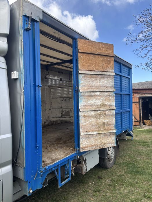 Transport żywych zwierząt i inne