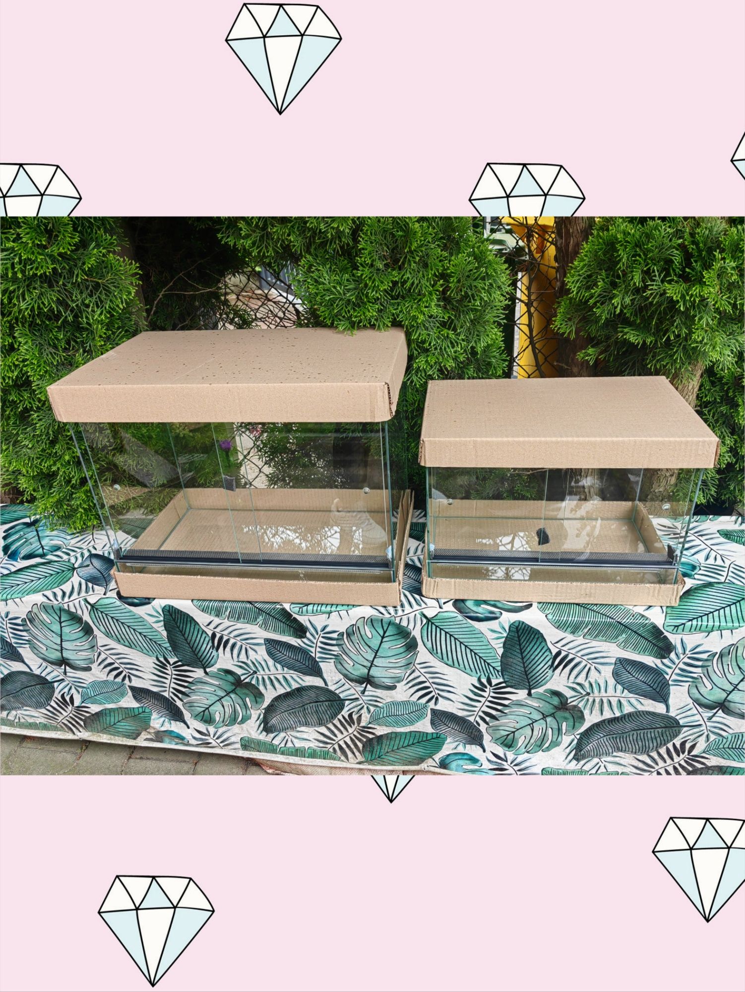 Terarium 50l idealne dla żółwia gekona salamandry pająka węża