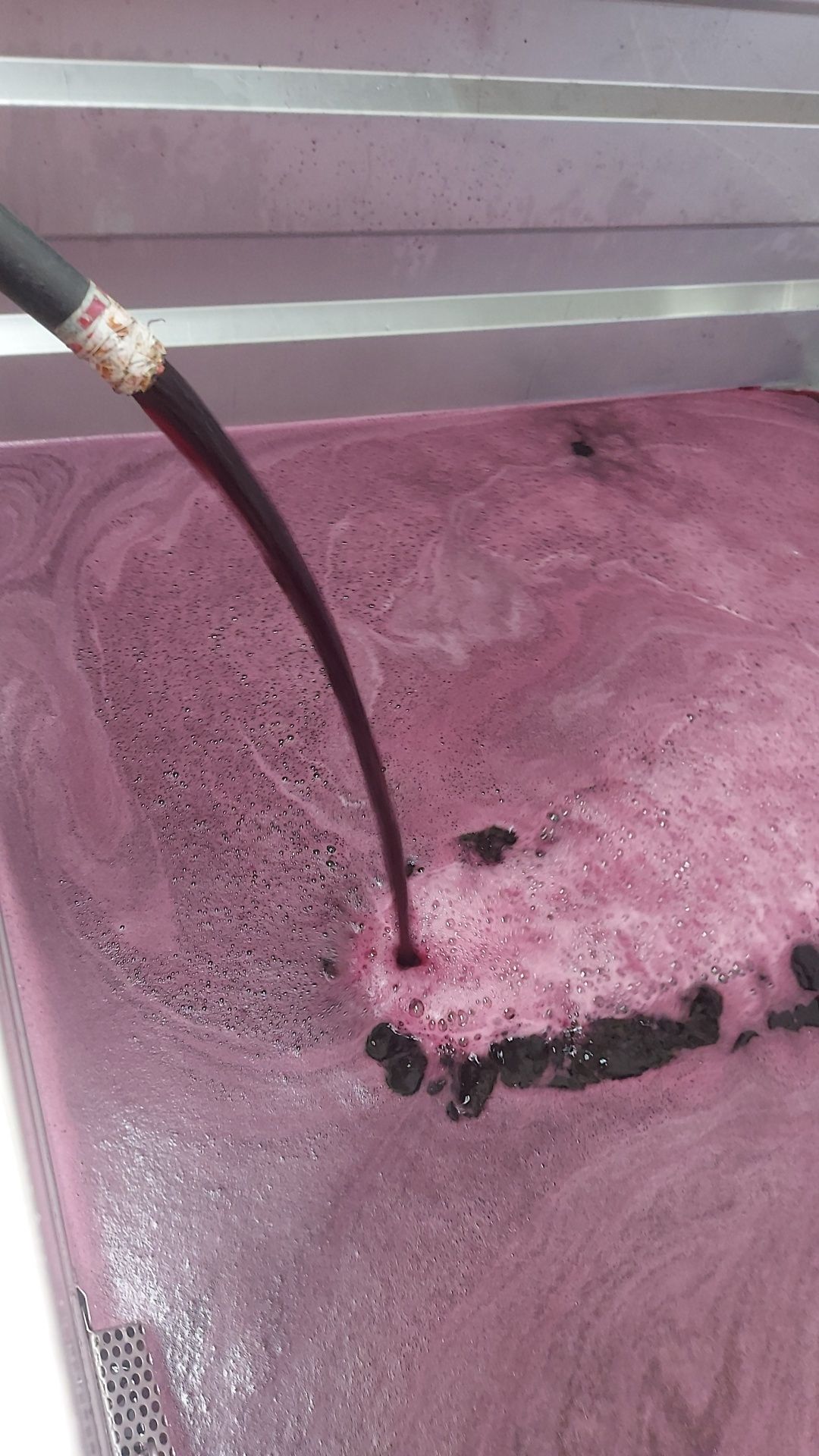 Vinho Tinto da Bairrada