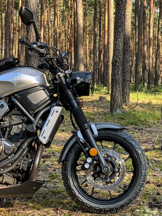 Yamaha XSR 700 Pirelli Termignoni 2018