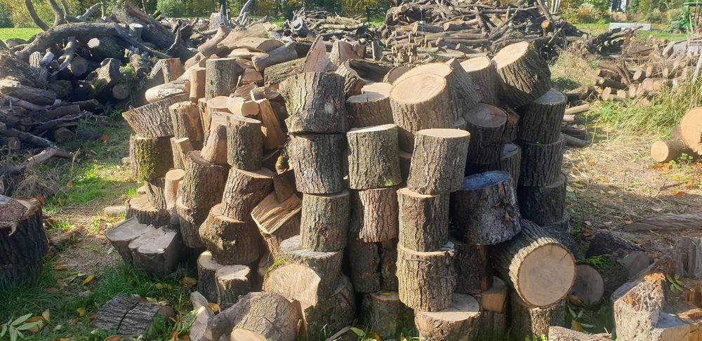 Dąb, grab i jesion sezonowany - drewno kominkowe, opałowe