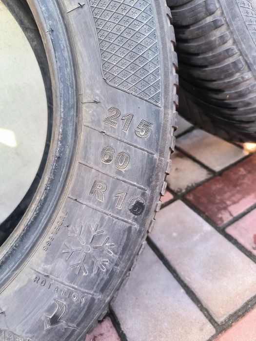 Скати зимові R 16