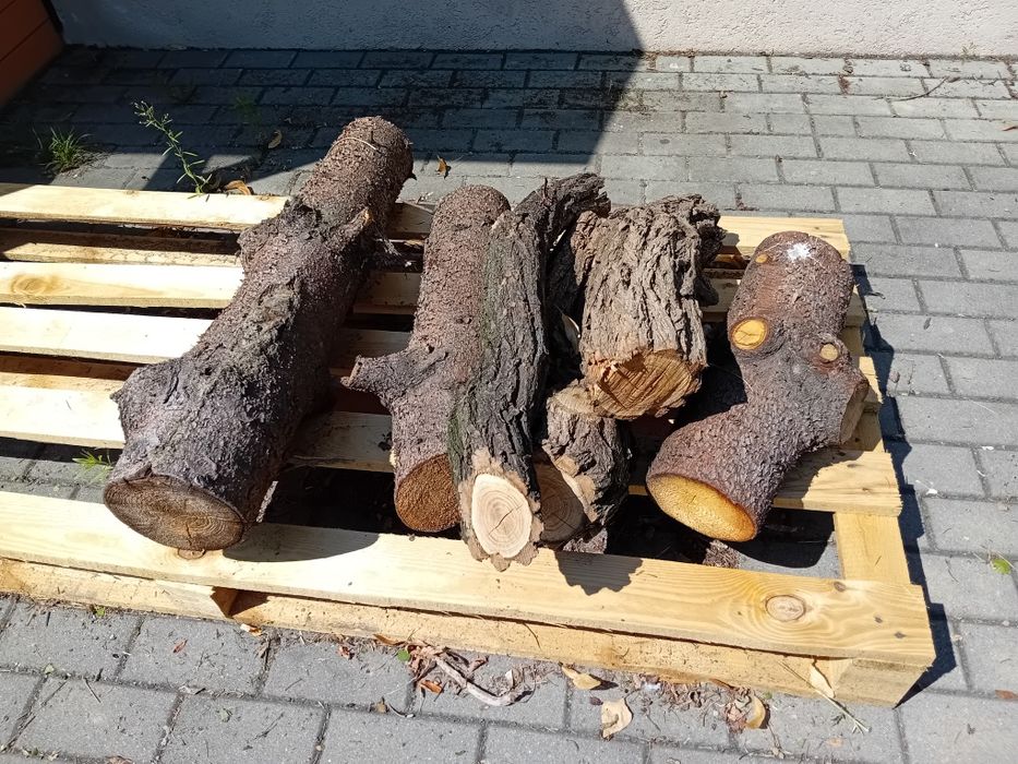 Drewno opałowe mieszane Rzeszów, świerk, lipa, akacja