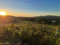 Terreno Montado Sobreiros/Azinheiras , 43 Hectares, Vale de Grou - Sob