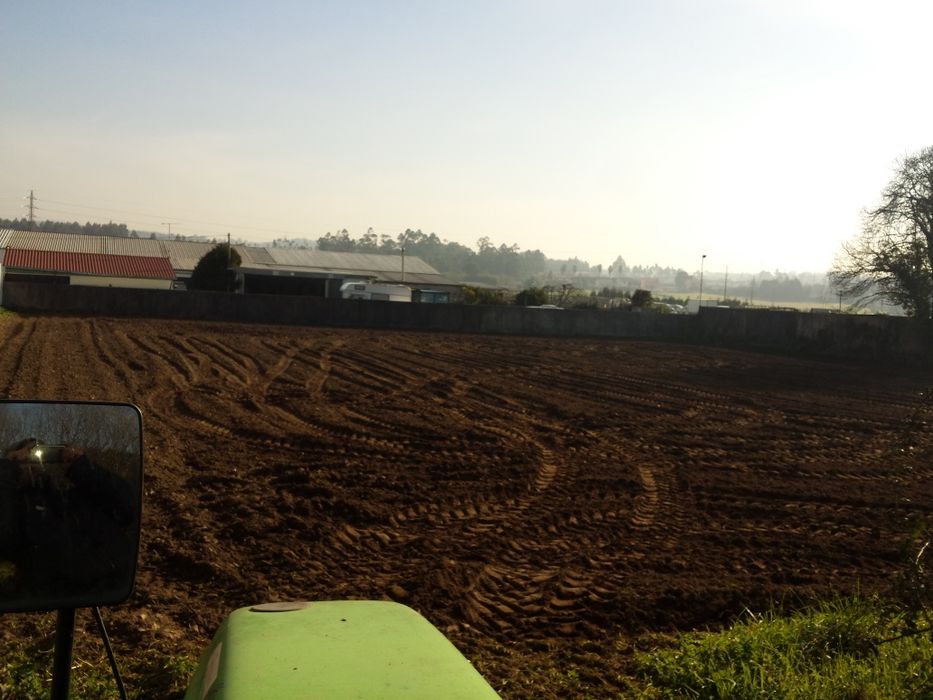 Prestação de Serviços agrícolas/florestais