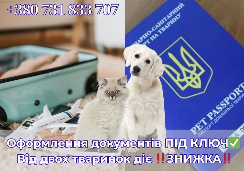 Паспорт тваринам для виїзду в ЄС/UK/США. ‼️ЗНИЖКИ На 2+ тварини ‼️