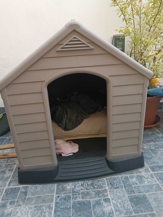 Casota de cão tamanho grande