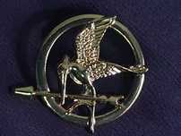 Pin Hunger Games/Jogos da fome