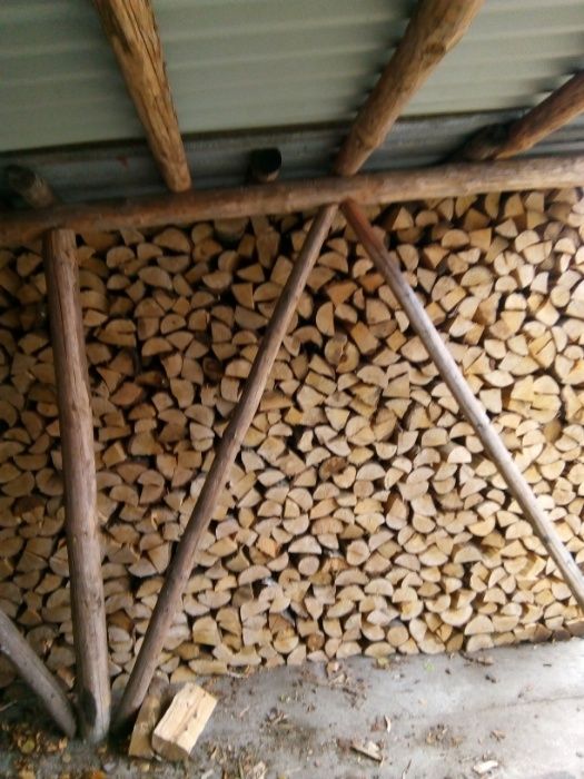 Drewno kominkowe BUK