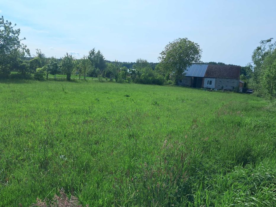 Działka wraz z budynkiem gospodarczym