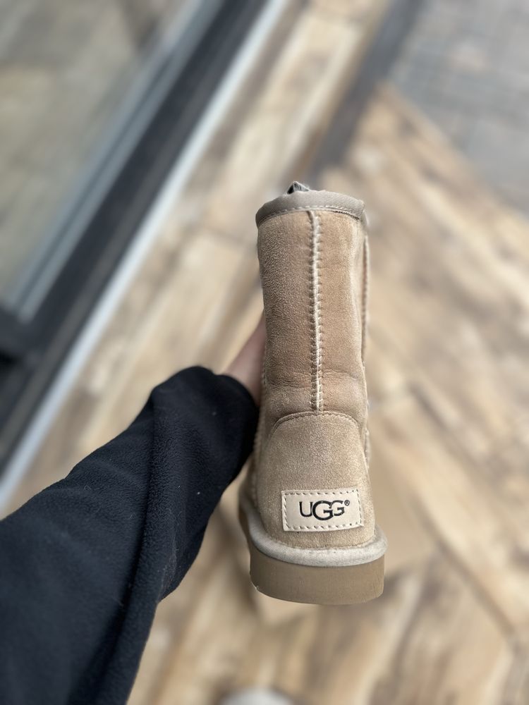 Ugg оригінал. Замшеві уггі.