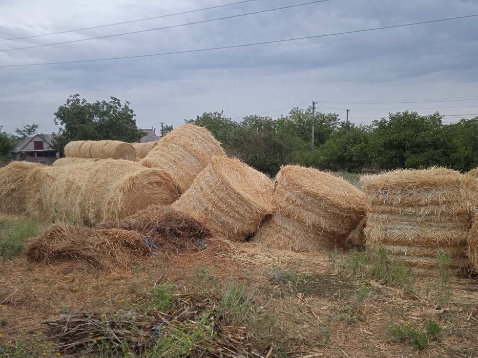 Солома в тюках .Самовывоз.