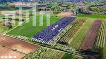 Działka rolno-budowlana | Sady | 1.4 ha