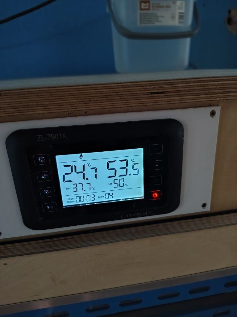 Inkubator ful automat  160 jaj z klujnikiem