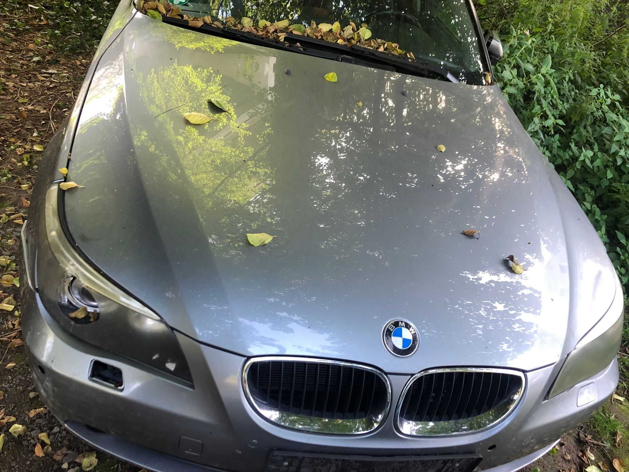 BMW E61 na czesci\drzwi,zderzaki,lampy,foteli,maska,klapa,blotniki,dah