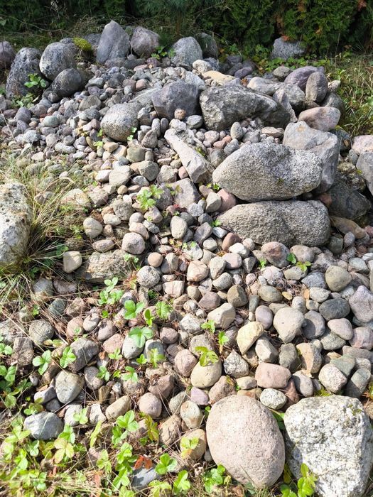 Oddam kamień polny za wywiezienie. Widna Góra / Gowidlino