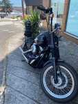 Harley street bob