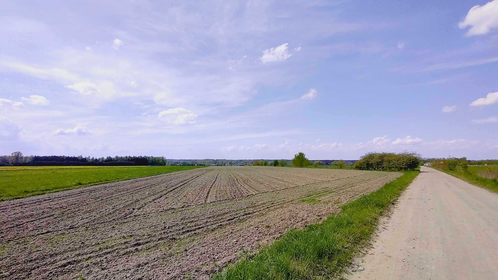 Działka rolna 37000m2 w miejscowości Dobrzyniec pow. Otwocki