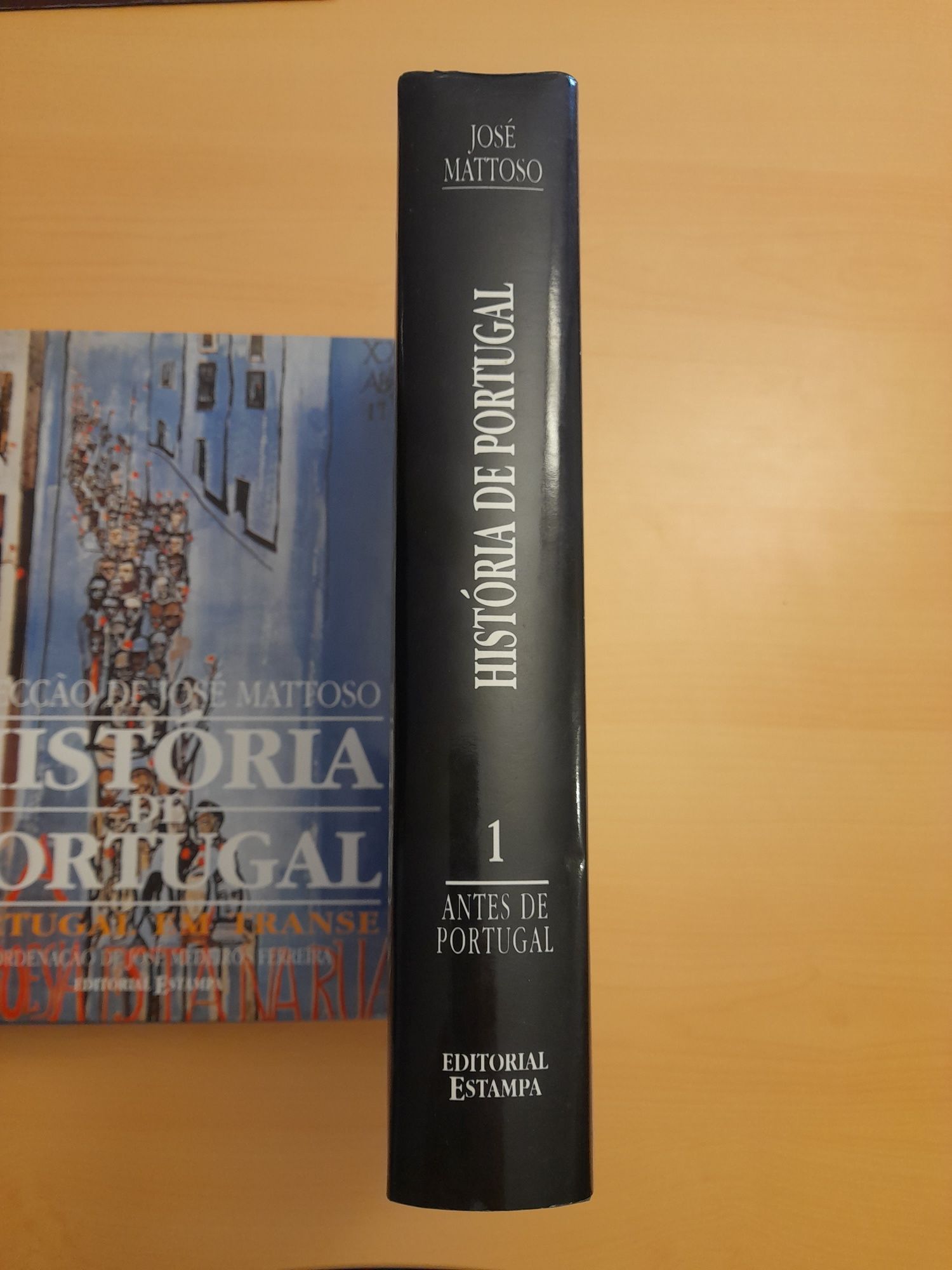 História de Portugal, José Mattoso - vol. 1