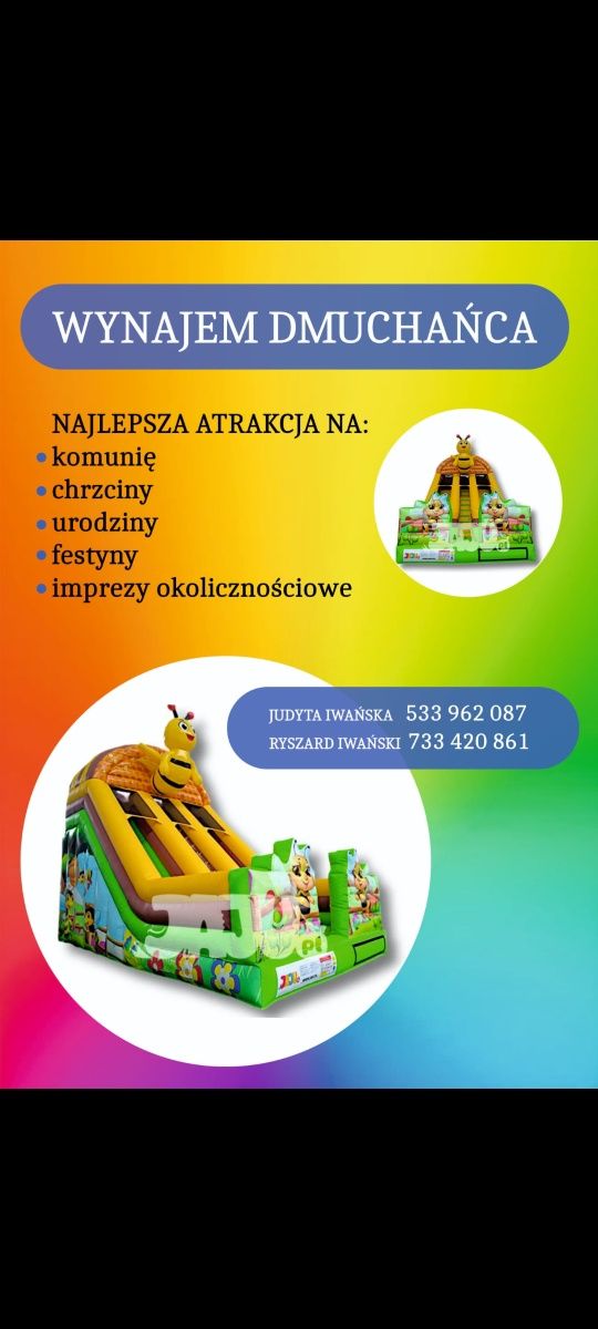 Dmuchaniec Pszczółka na wynajem