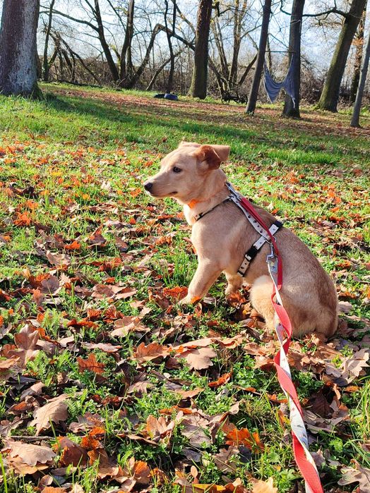 Mała Małgosia po przejściach