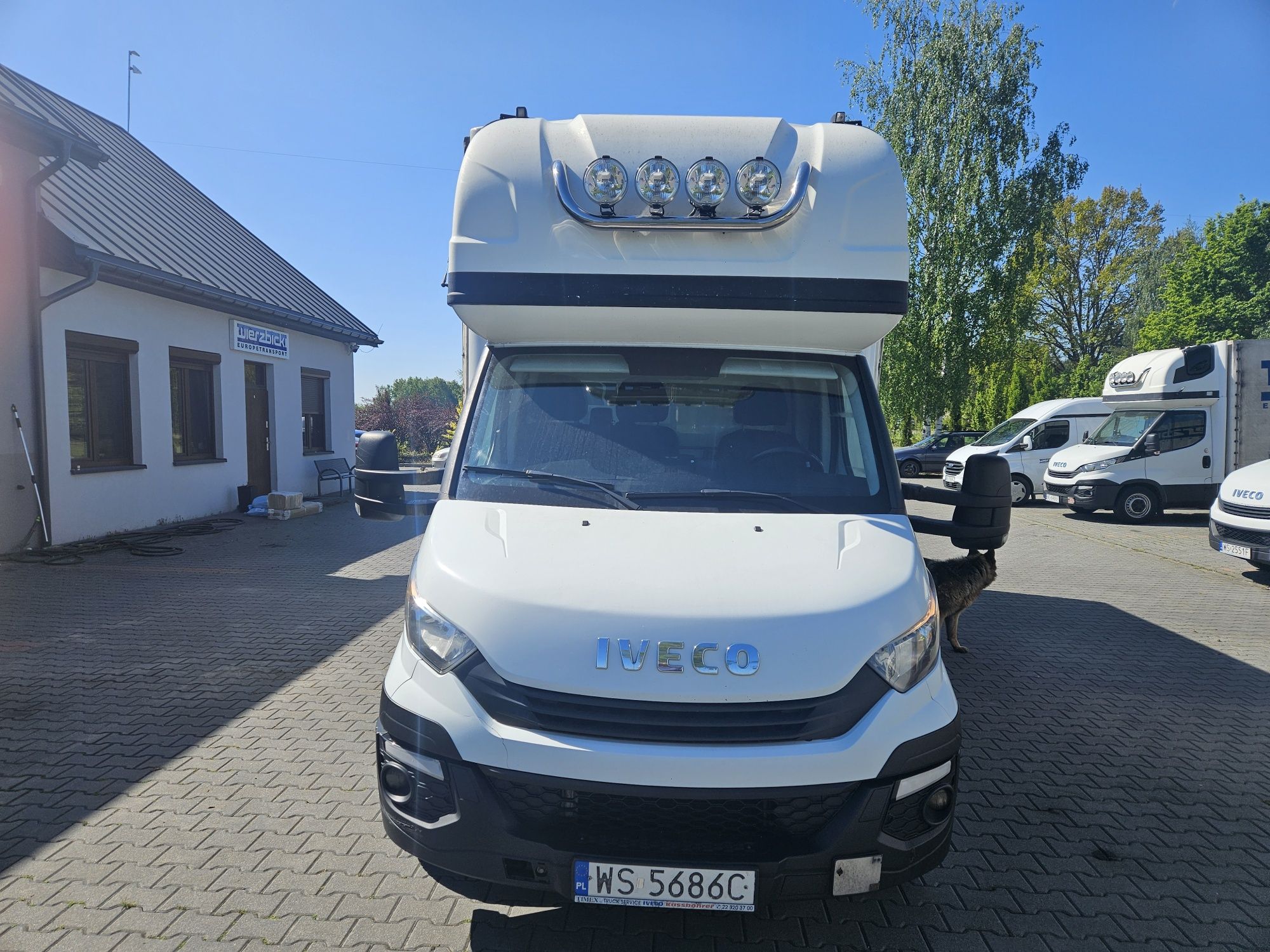 iveco daily 3.0 2019 r plandeka 10 ep
