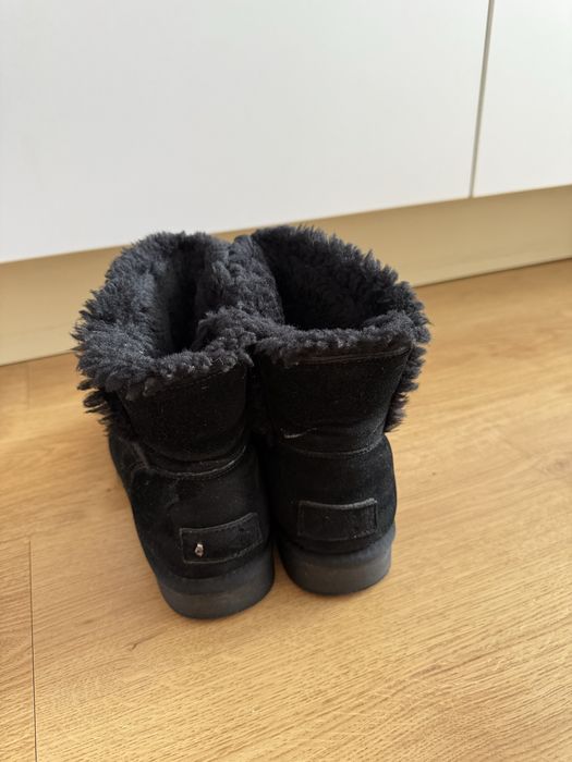 Зимові чорні уги