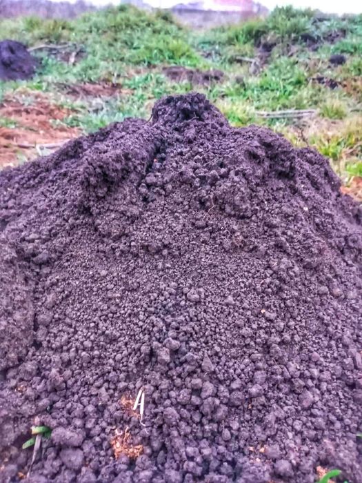 Субстрат для рассады