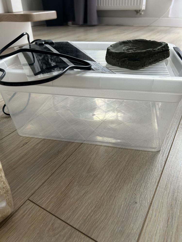 StartBOX dla węża