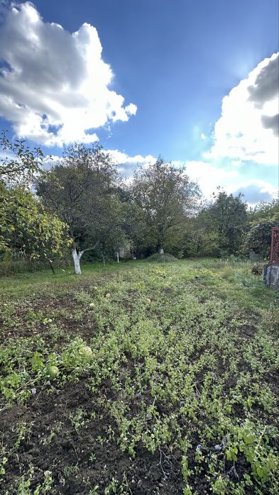 Продаж дачної ділянки з будиночком в Малих Грибовичах