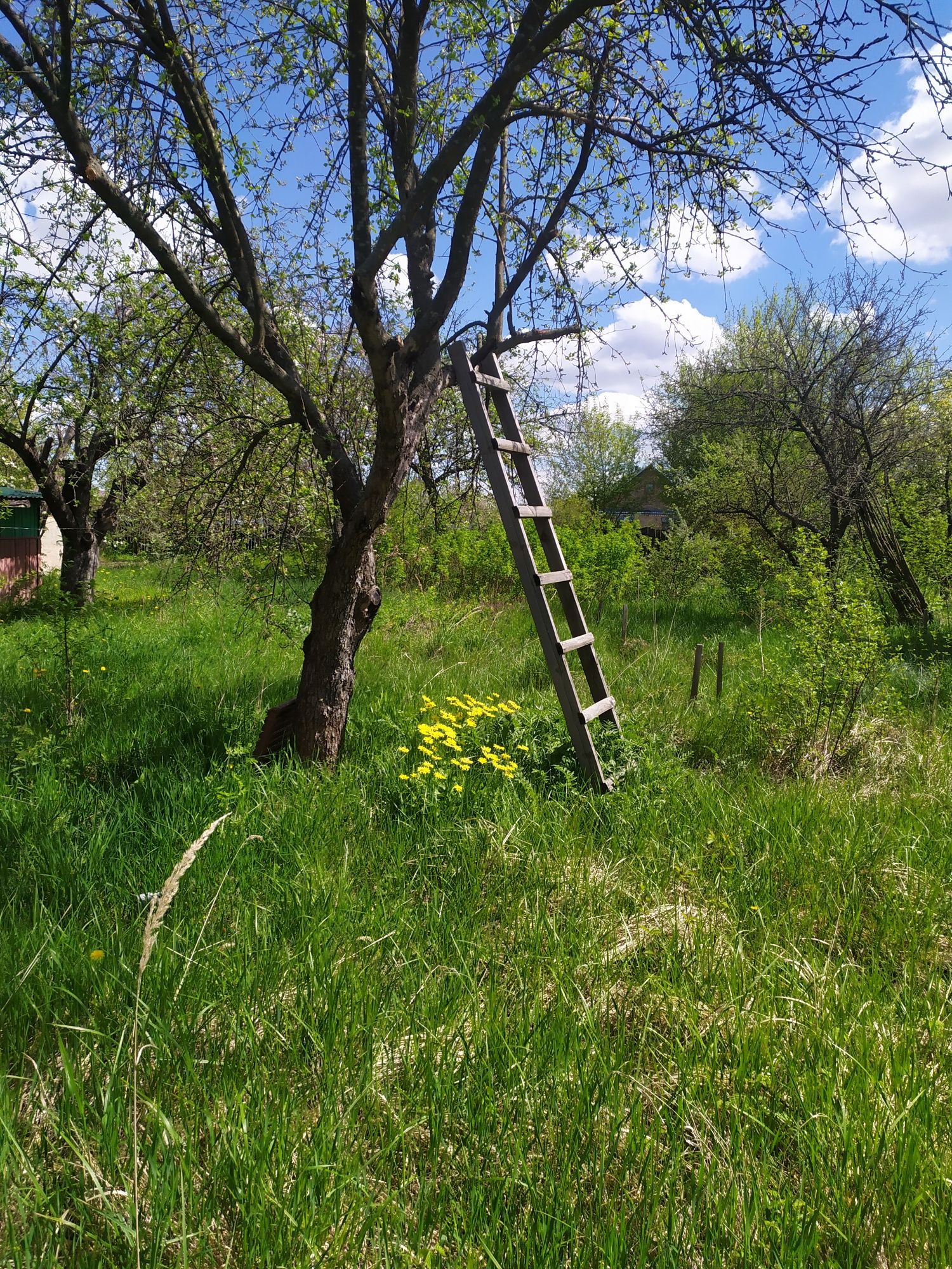 Земельна ділянка,в селі, під забудову с.Нова Буда